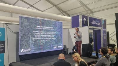 🚀 Lanzamiento de curso de Austral Angels para inversionistas y startups