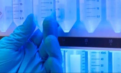 🌍 Expansión de Apolo Biotech en Europa