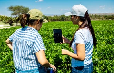 💧 Intel Logra El Estatus De Agua Neta Positiva En México