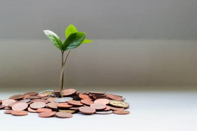 💸 Investidores.vc recibe $483K de inversores para expandir sus servicios en Brasil