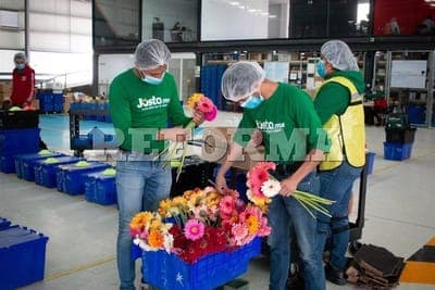 📦 Amazon se asocia con Jüsto para entregas en México