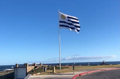 🚀 Ocho Startups Uruguayas para Observar en 2025