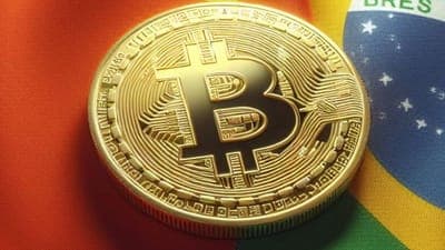 💼 Ripio Informa Uso de Criptomonedas entre Empresas Brasileñas y Chinas