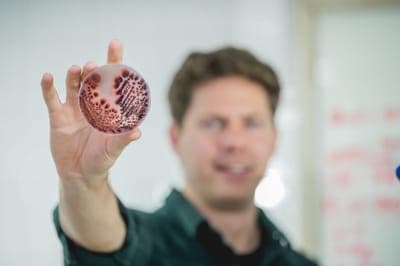 🌱 Tintte: Revolucionando la industria textil con biopigmentos