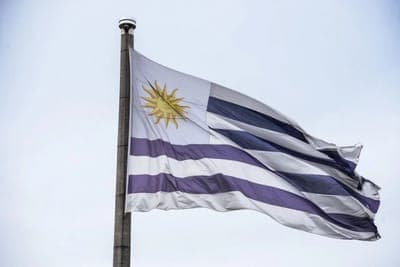 ⭐ Uruguay: destacando a las startups prometedoras para los inversionistas
