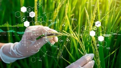 🚀 Uruguay lanza una aceleradora de startups para el sector biotecnológico