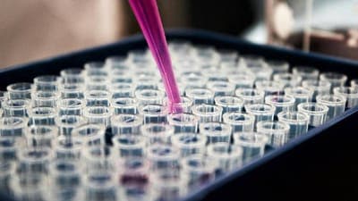 💉 Xeptiva Therapeutics: start-up uruguaya recauda US$ 2.5 millones para desarrollar vacunas veterinarias