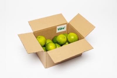 🌱 Fresh Inset y Interoc se asocian para llevar Vidre+ a Perú