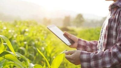 🌾 Nera busca colocar US$1B en créditos a productores