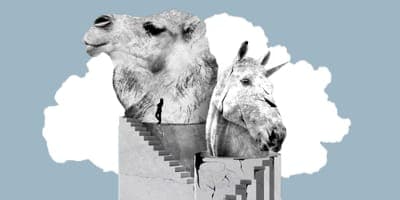 🖋 OPINIÓN: ¿Llegó la era de los Camellos? - Capria Ventures