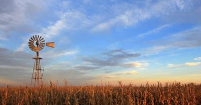 🌱 Argentina: ¿el próximo gigante del agtech?