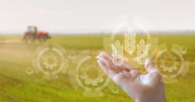 🌱 Bipolos lanza PIA, IA para el agro