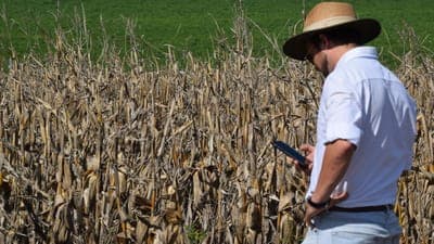 🌱 Tres startups uruguayas revolucionan el agro