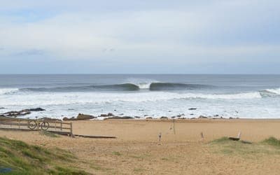 🌊 Lineup.surf recibe inversión de $210,000