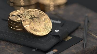 🛬 Vita Wallet anuncia su expansión a México
