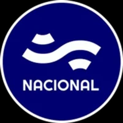 ☀️ Neda Solar Energy: la apuesta argentina por la energía renovable