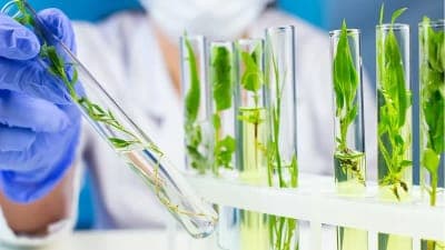📝Convocatoria: 'Uruguay Innovation Hub para BioTechs'