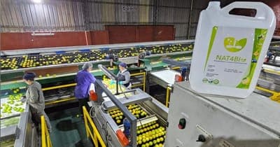 🥗Nat4Bio busca alargar la vida útil de frutas y verduras