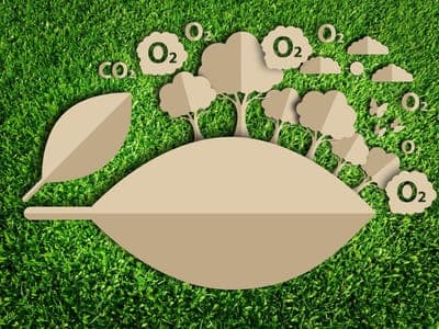 🌱 Beeok estará presente en Startco 2024