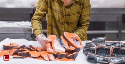 ♻️Bioelements amplia su portafolio de empaques para la industria pesquera