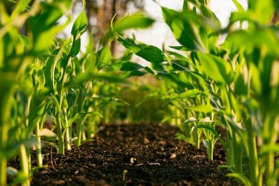 📆 Evento: 'CFIAgrotech 2023'
