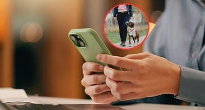 🐕 ¿Airbnb para mascotas? La innovadora app Terque en Colombia
