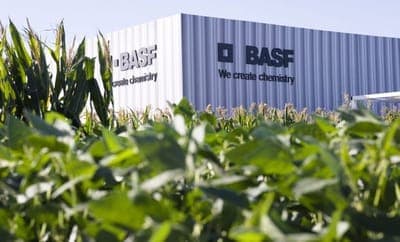 💡 La digitalización de la distribución de insumos del agro: la visión de BASF