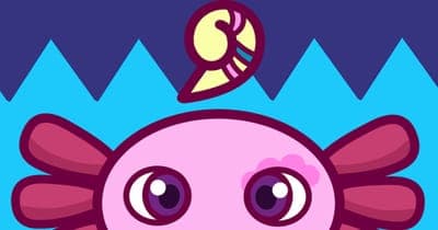 🌟 Descubre Miyotl, el “Duolingo mexicano” para lenguas indígenas