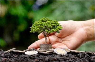 🚀 Con USD 35 millones se activa el Fondo de Capital Semilla en Paraguay