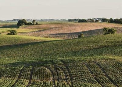 🚜 Agrotoken avanza en garantizar comercio agrícola
