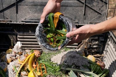 🍽️ Kigüi y Nestlé México unen esfuerzos contra el desperdicio de alimentos