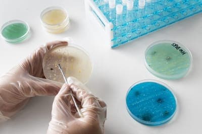 🧬 Liva busca liderar el sector BioTech en LatAm