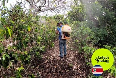 🌾 ClearLeaf busca reducir las plagas e infecciones en cultivos