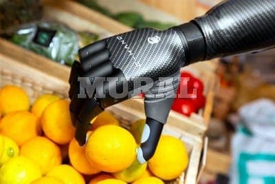 🍽️ Falta inversión para foodtechs en México
