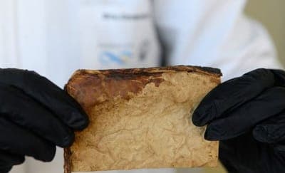 🧪 Mycorium Biotech avanza a producción de cuero sostenible