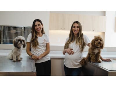 🐶 Vetalia busca abrir 50 clínicas en México, Colombia y Chile
