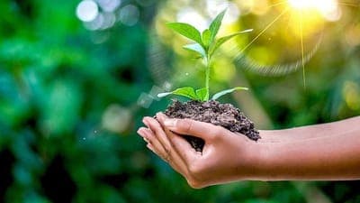 🌍 Sistema.bio asegura $15 millones en financiamiento para acelerar el crecimiento global
