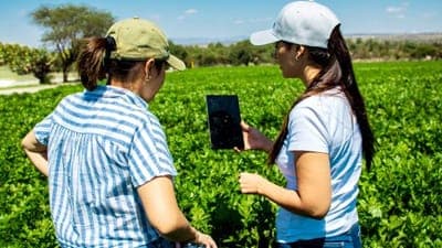 🌍 Kilimo celebra 10 años con un compromiso global