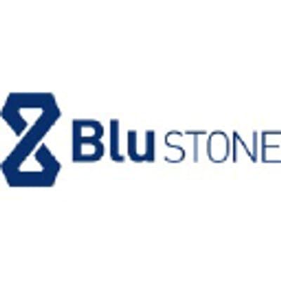 BluStone Capital logo