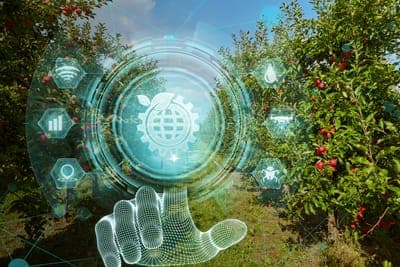 🌱 La IA revoluciona la agricultura en América Latina