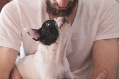 🐾 Lanzamiento de la app de Jack & Molly para petlovers en la Ciudad de México