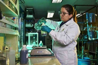 🚀 Nova Mineralis recibe financiamiento de CORFO para innovación minera
