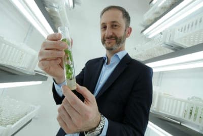 🚀 Interés de Tether en Bioceres Crop Solutions