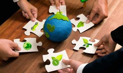 🌱 Biointellectus: Startup mexicana que promueve bioplásticos sostenibles