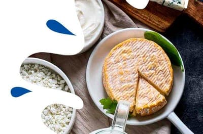 🚀 Updairy seleccionada por ProVeg Incubator para acelerar su crecimiento