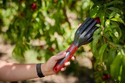 🍏 AgroFresh presentará tecnología digital en Fruit Attraction 2025
