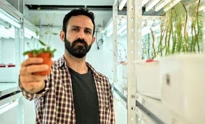 🌱 Revolución agrícola: Apolo Biotech y la comunicación con plantas