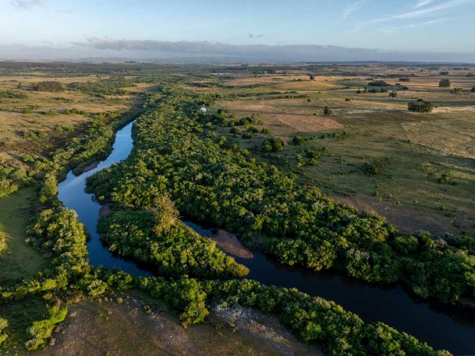 🌱 Biósfera Austral y Wbuild lanzan en Uruguay parque privado de conservación tokenizado