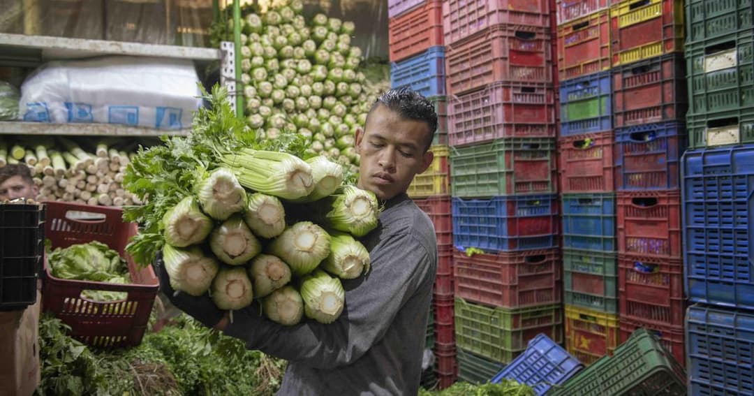 🌱 Dow, ABACO y EatCloud se unen contra el desperdicio de alimentos en Colombia