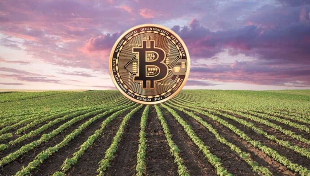 🚀 🔗 R3al Blocks se integra como miniapp en Lemon